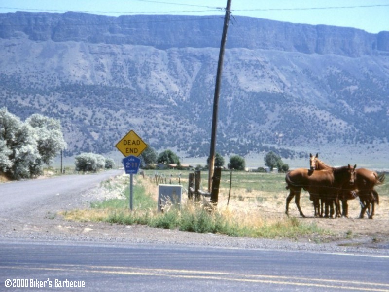 Sometimes, It's Obvious - This picture refers to "Biker's Barbecue", page 176.