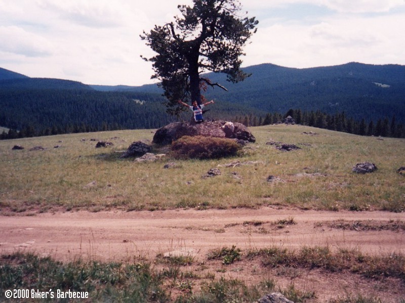 Help, I've Been Stripped of My Legs and Tied to This Tree! - This picture refers to "Biker's Barbecue", page 119.